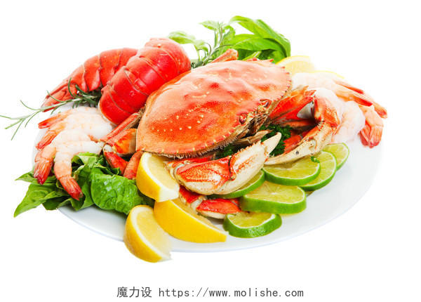 白底螃蟹龙虾海鲜水产美食
